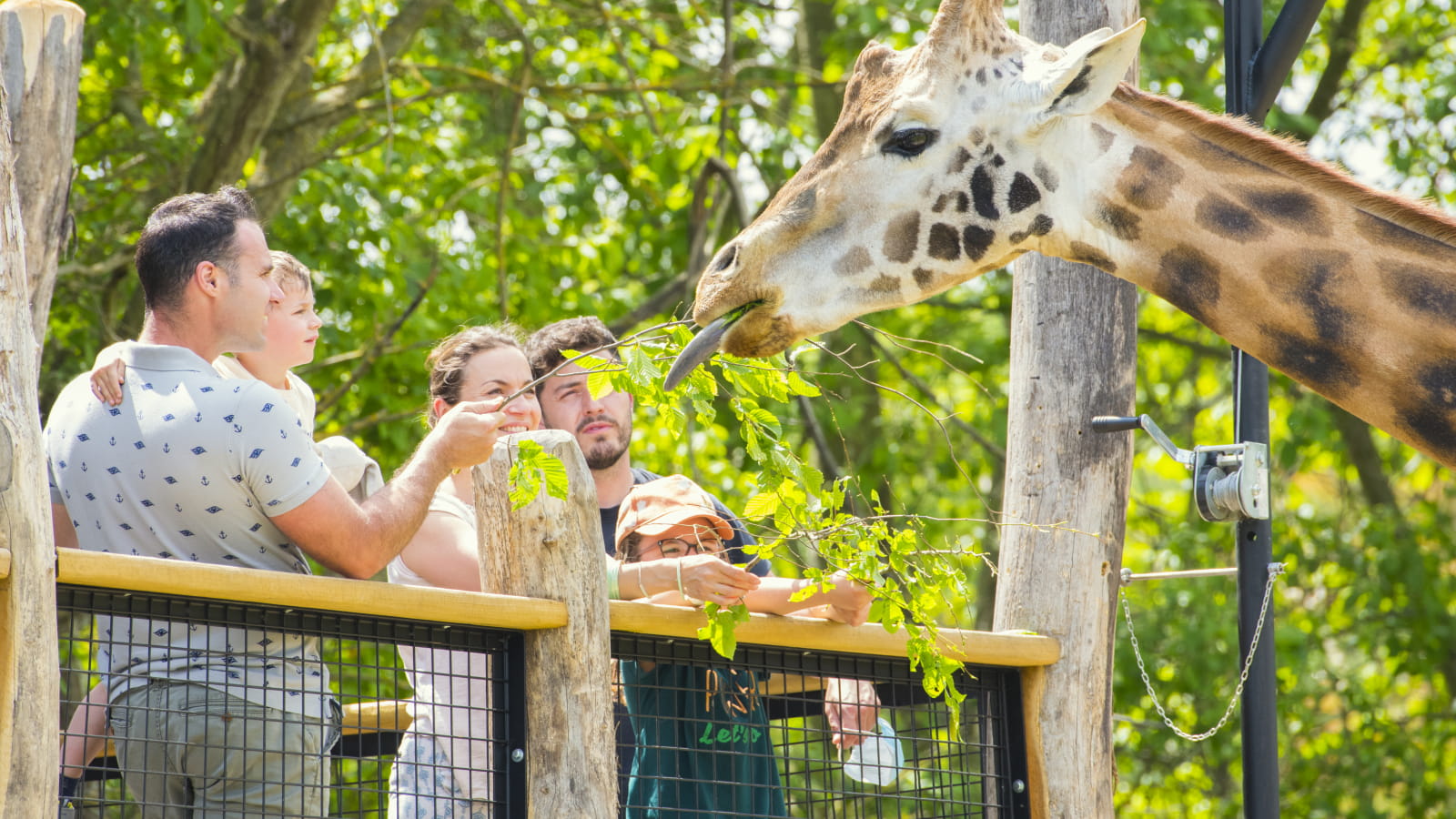 Girafe - Rhinoceros - Zoo d'Amnéville