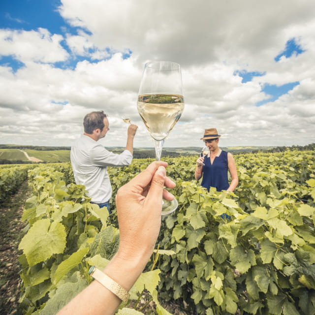 Dégustation dans les vignes
