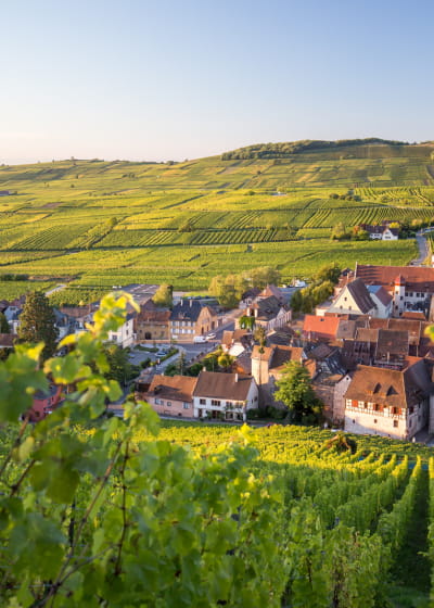 Riquewihr et son vignoble