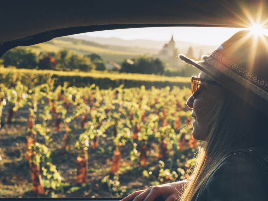 Sur la Route des Vins d'Alsace