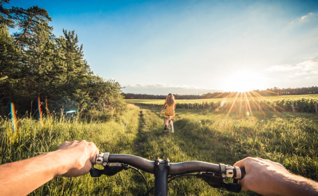 Vélo dans les vignes