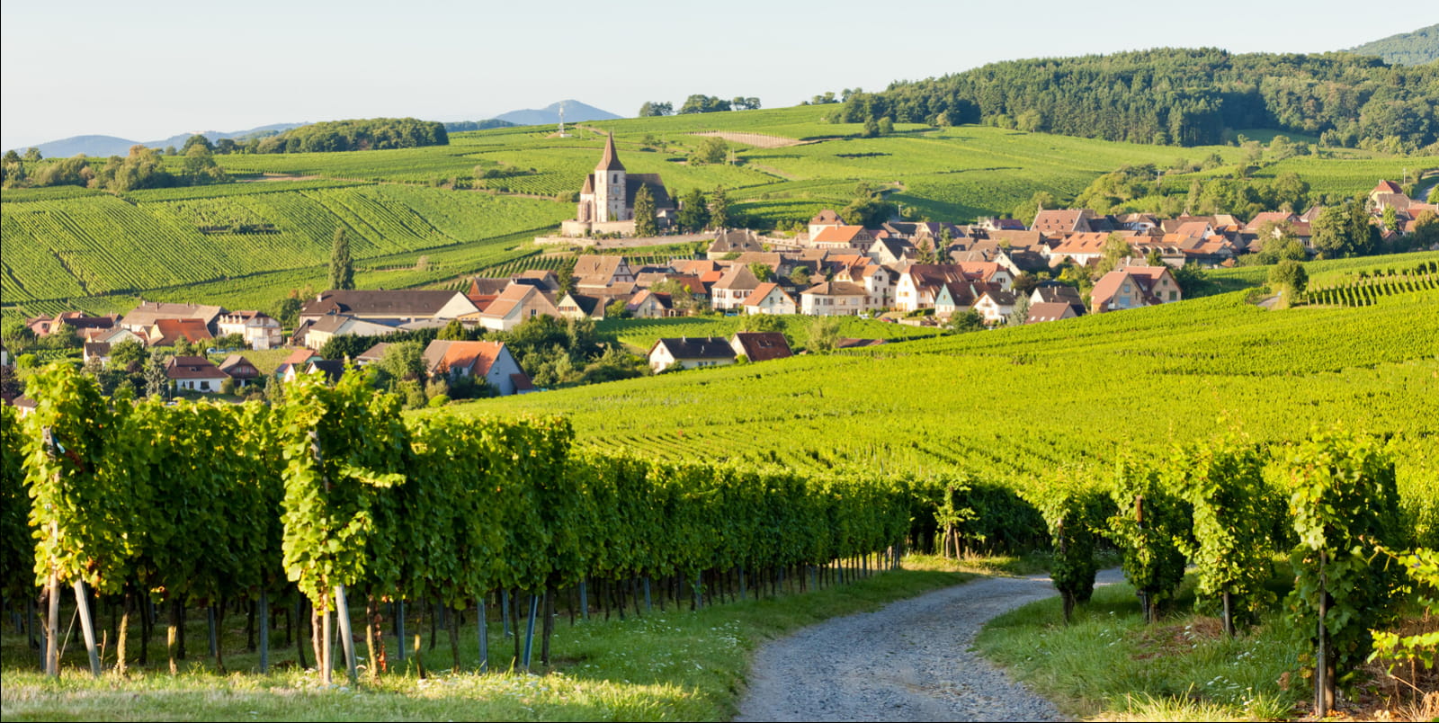 Vue sur Hunawihr