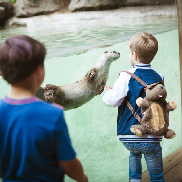 Zoo d'Amneville