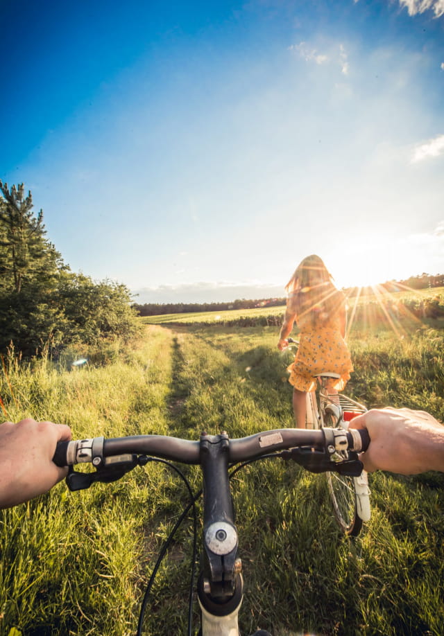Vélo dans les vignes