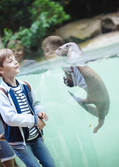 Zoo d&#039;Amneville