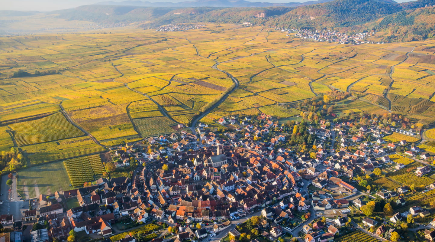 Eguisheim et le vignoble