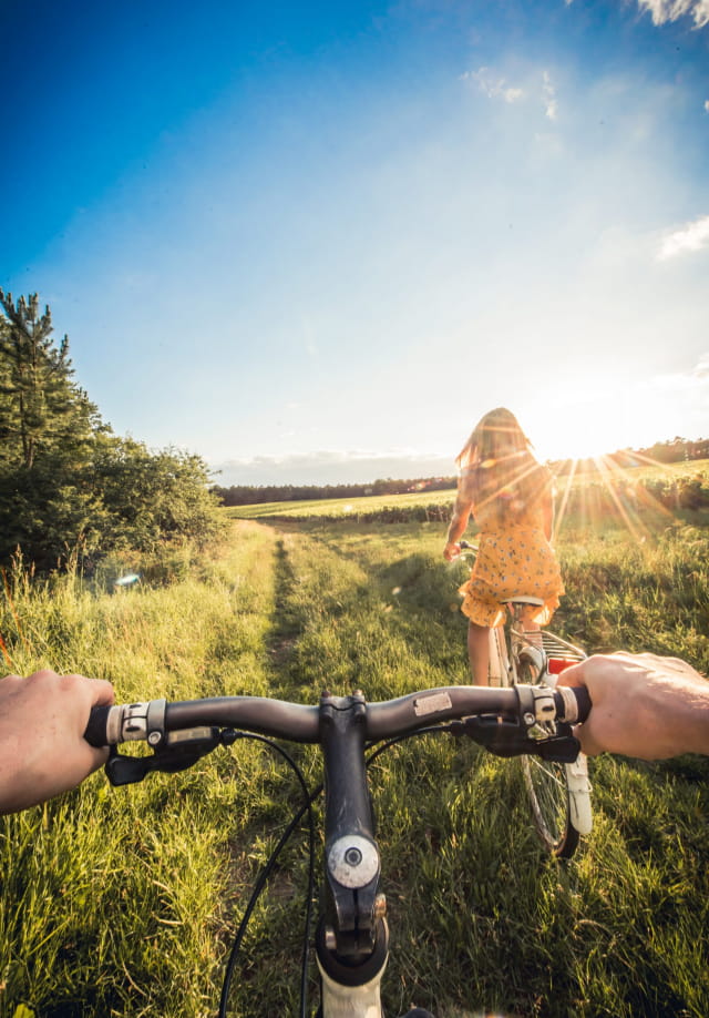 Vélo dans les vignes