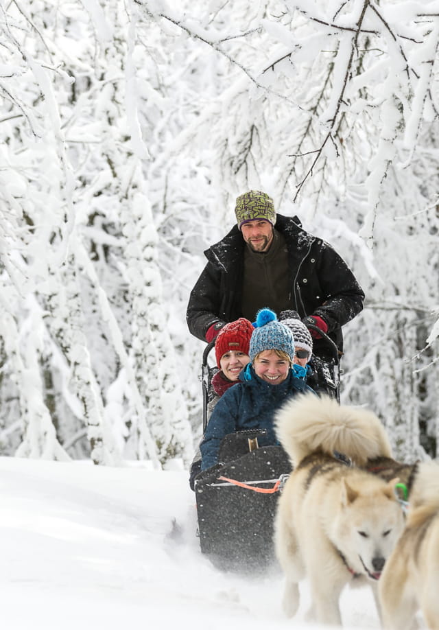 Balade en chiens de traineau-Vosges