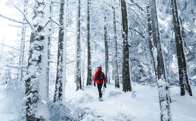 Randonnée d_hiver-Massif des vosges