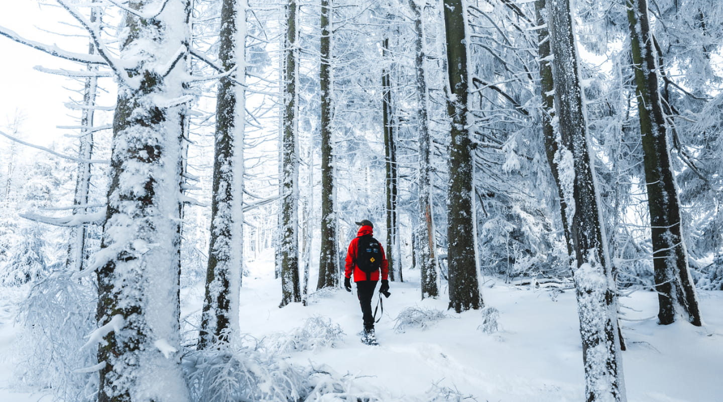 Randonnée d&#039;hiver