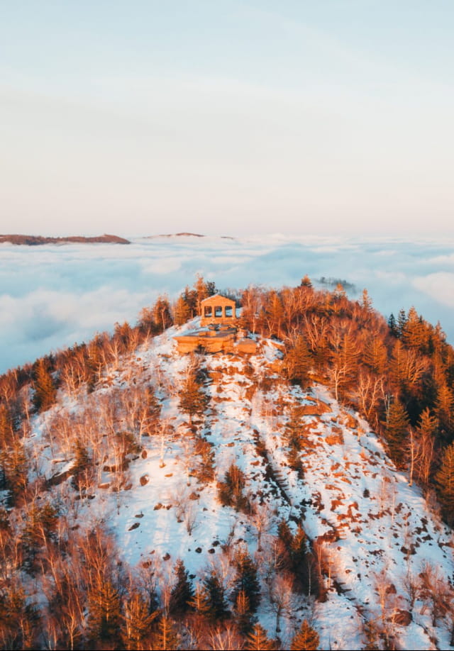Vosges