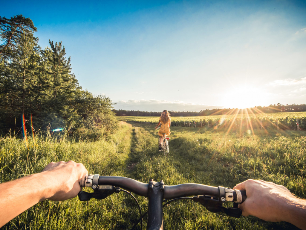 Vélo dans les vignes