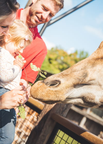 Zoo d'Amnéville