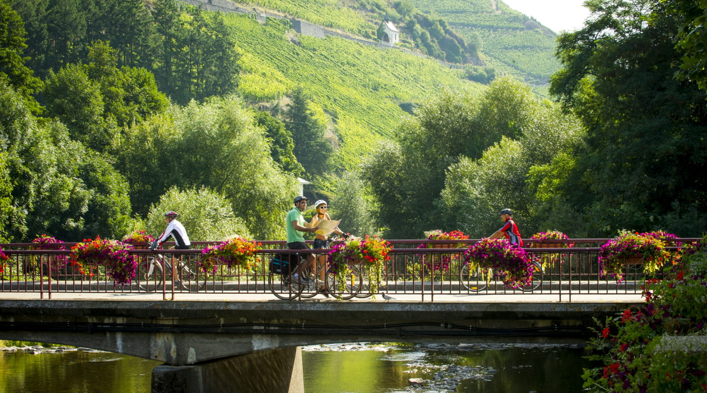 Balade à vélo