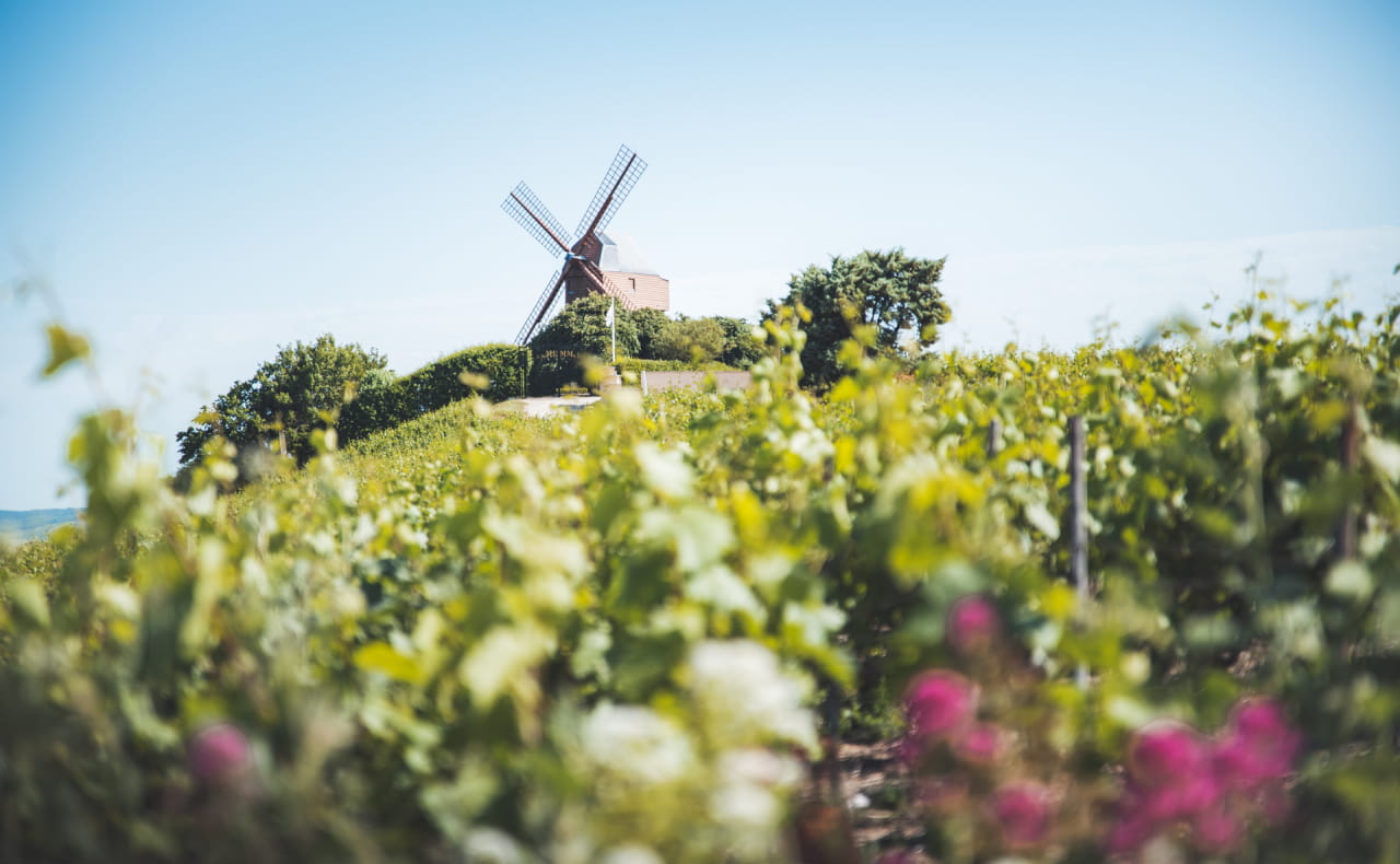 Moulin de Verzenay