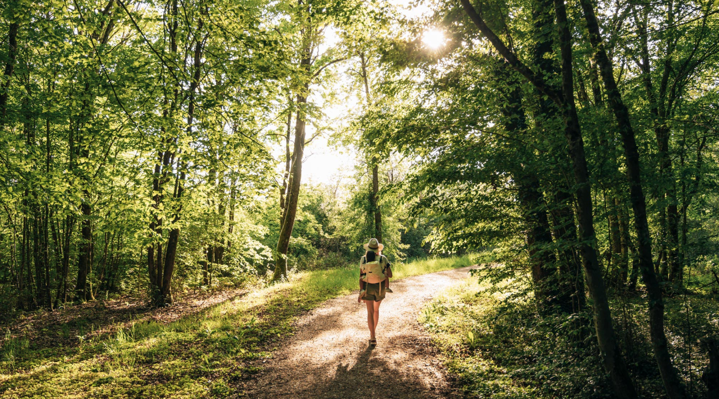 Promenade en forêt en Meuse