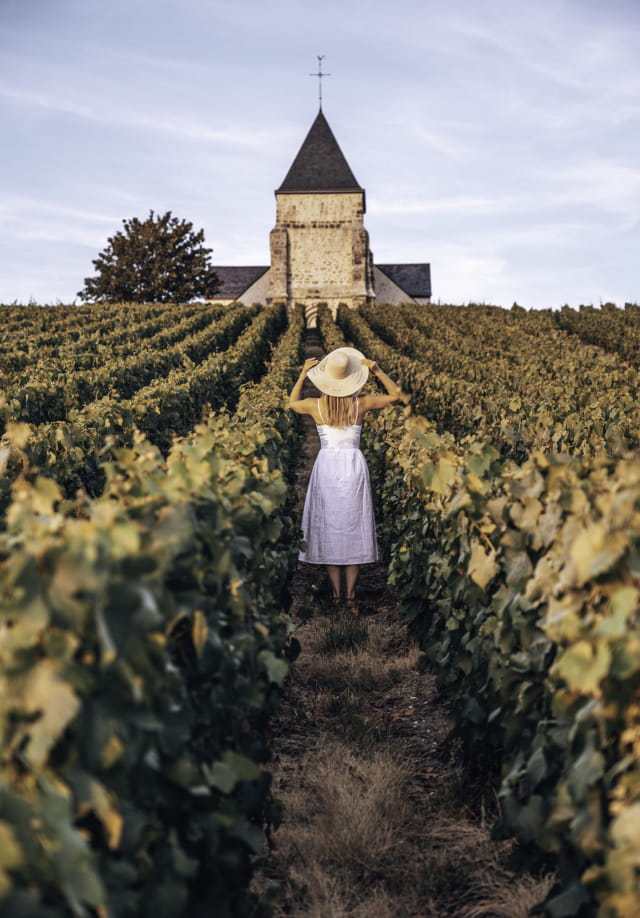Vignoble de Champagne