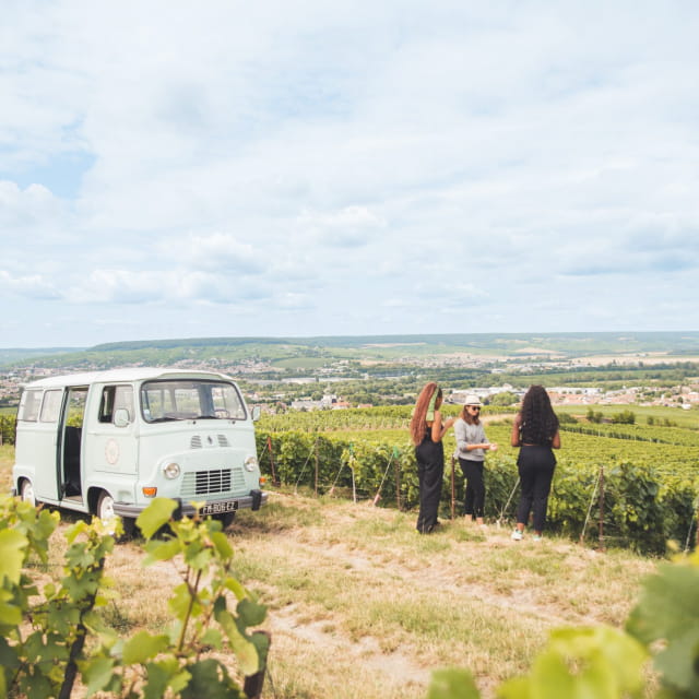 Balande en estafette dans les vignes