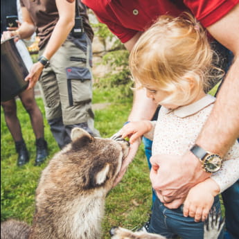 Zoo d'Amnéville