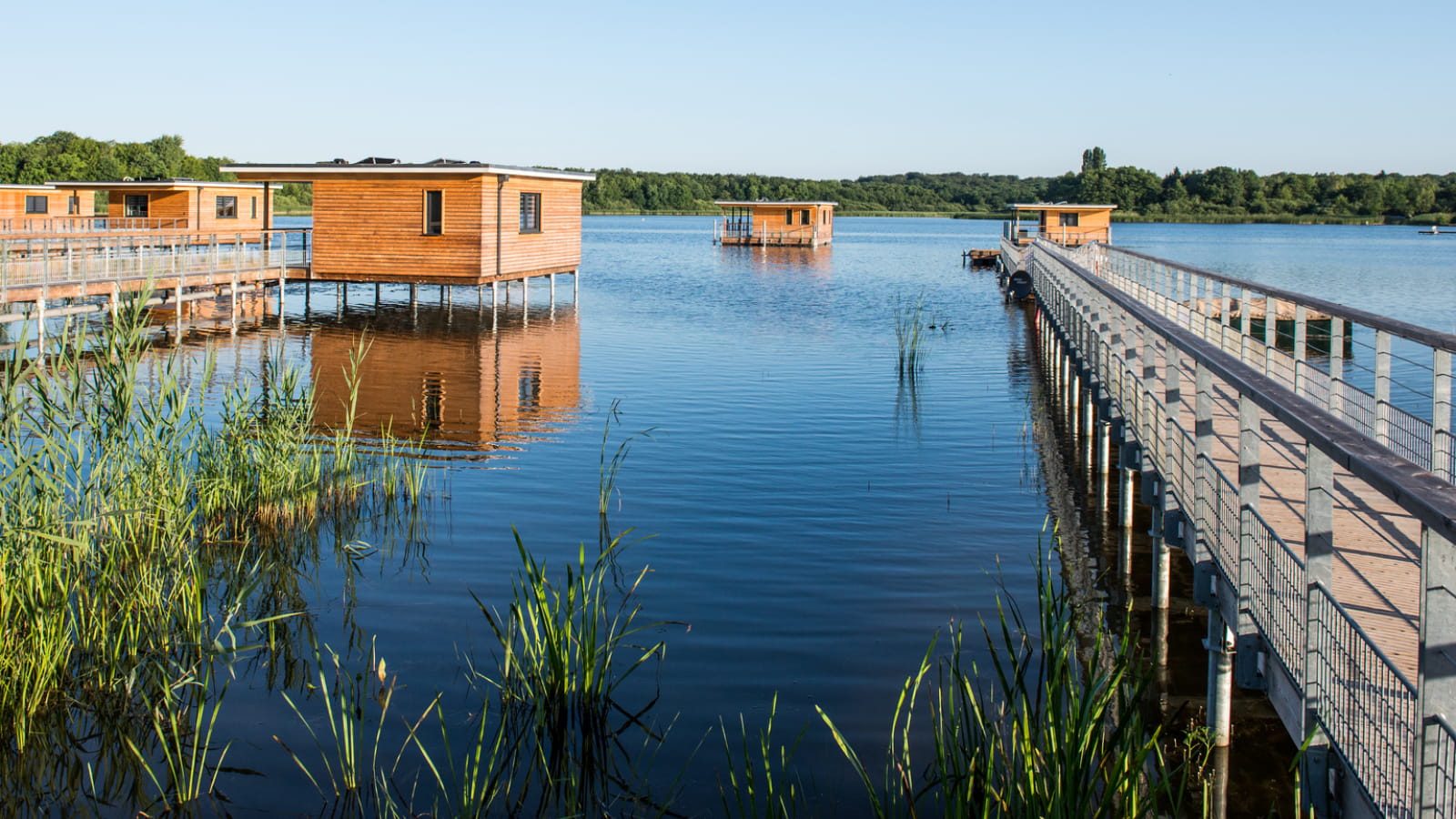 Etang du Stock