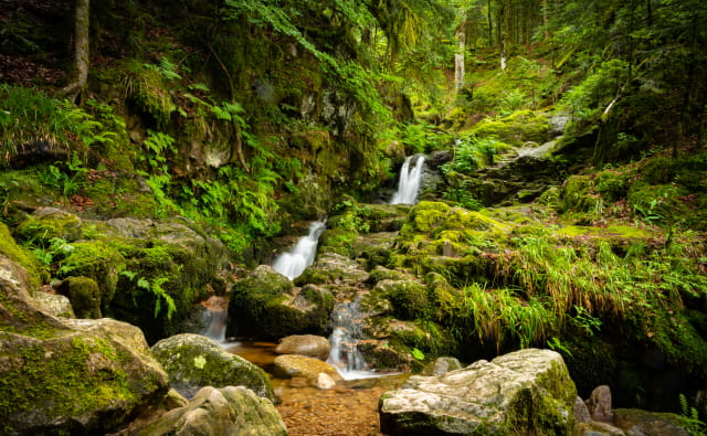 cascade Charlemagne