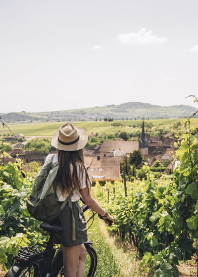 Vignoble Alsacien