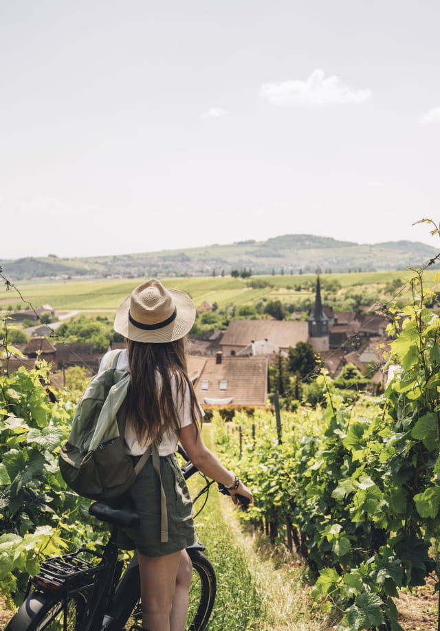 Vignoble Alsacien