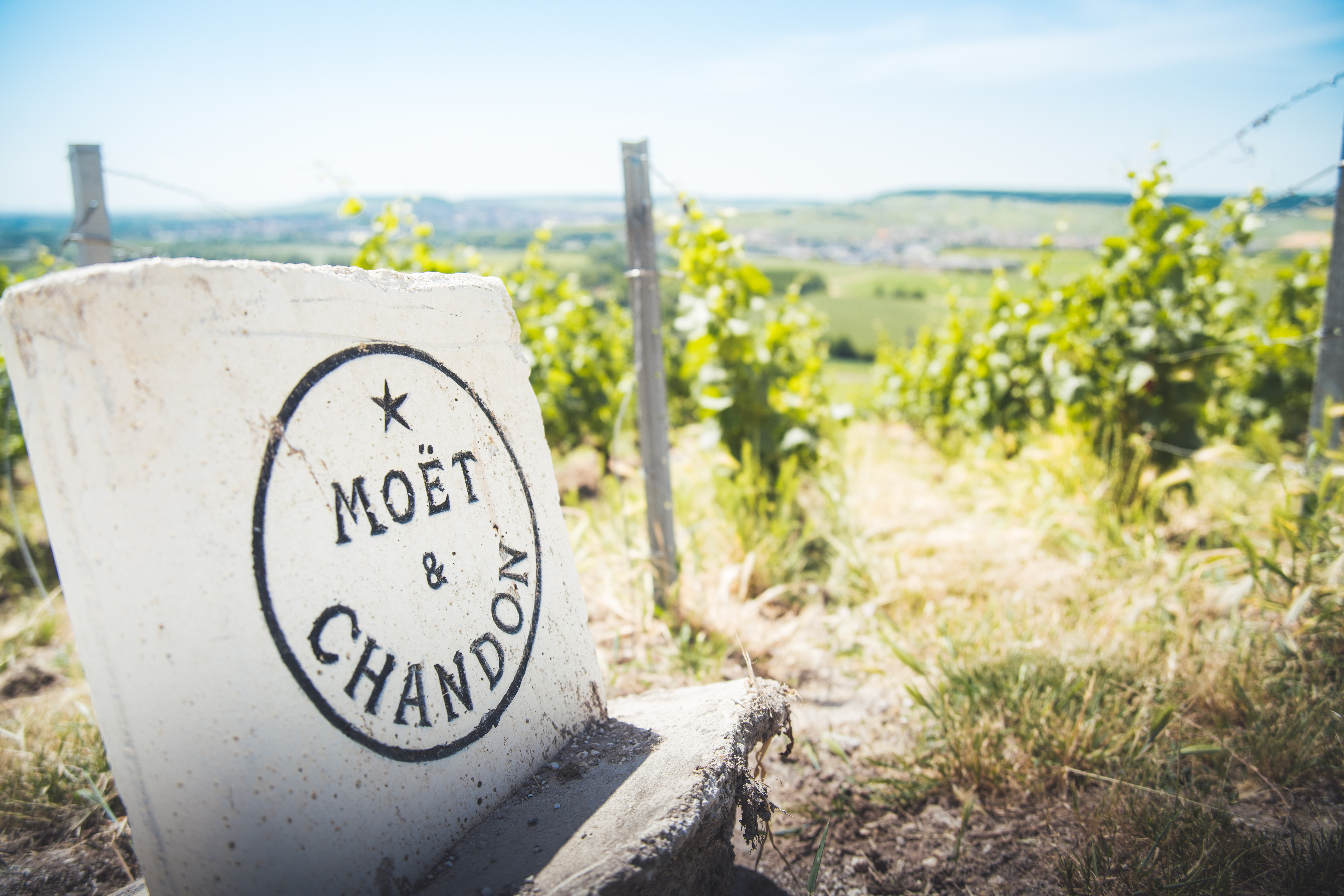 Borne Moët &amp; Chandon