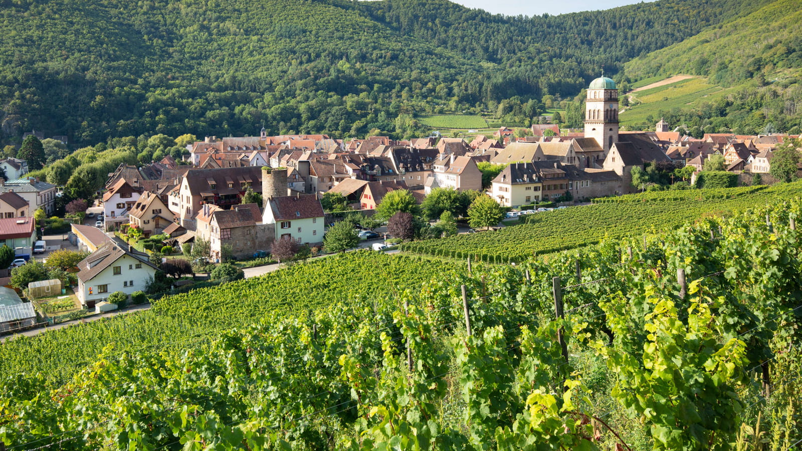 Kaysersberg dans les vignes