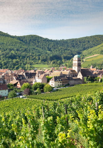 Kaysersberg dans les vignes