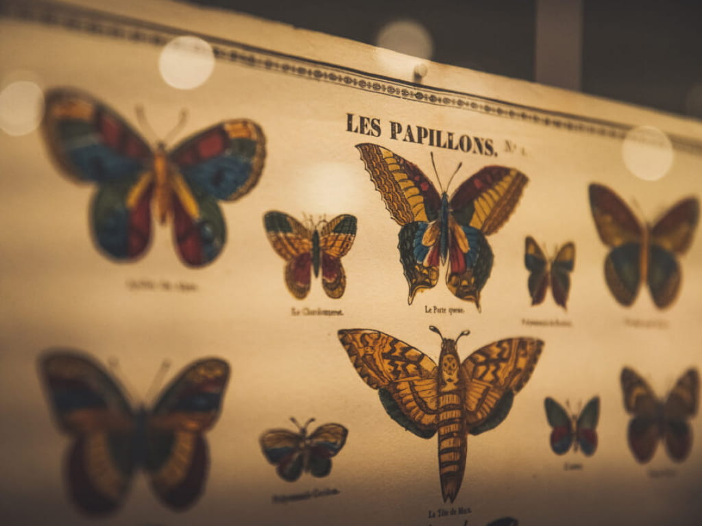 Musée de l'image