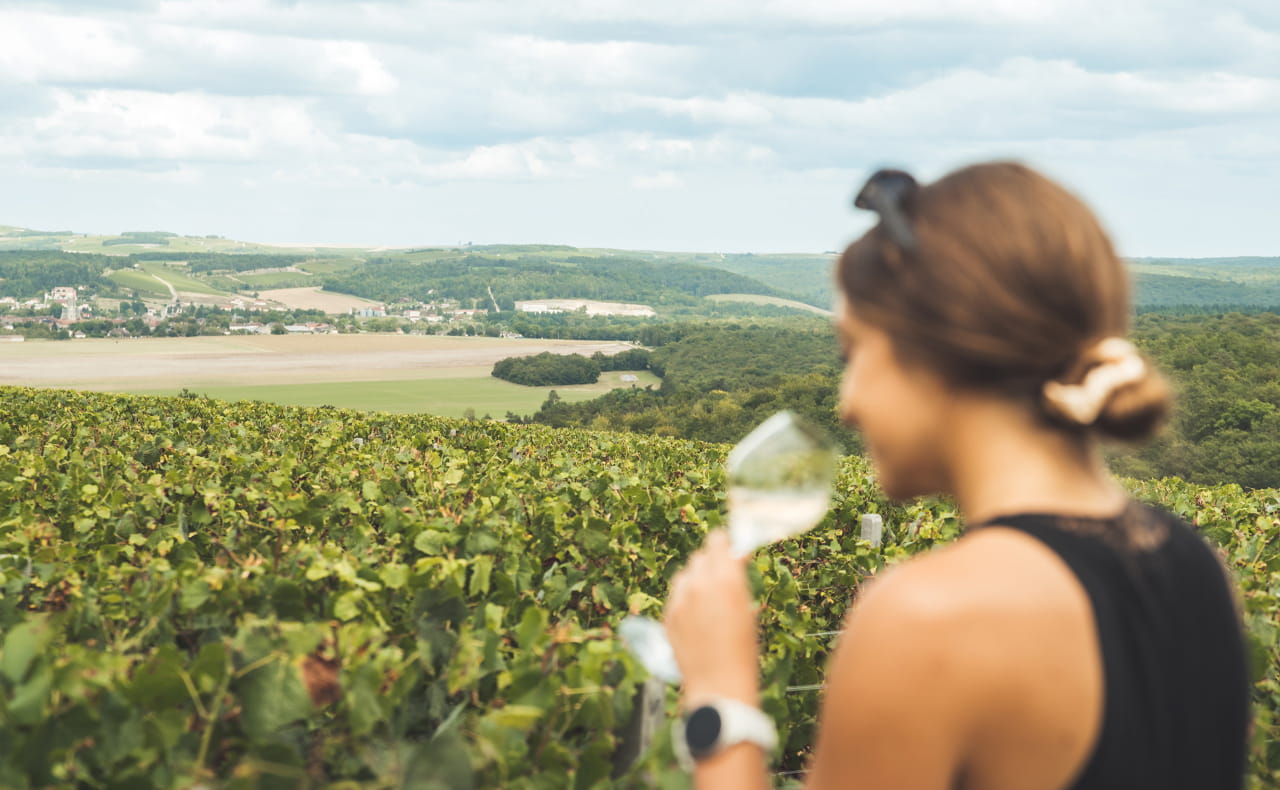 Dégustation dans les vignes Auboises