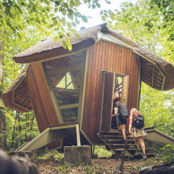 Vent des forêts