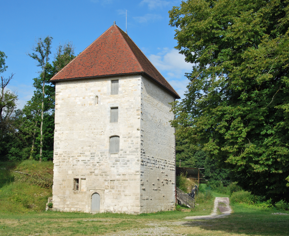 Donjon de Vignory