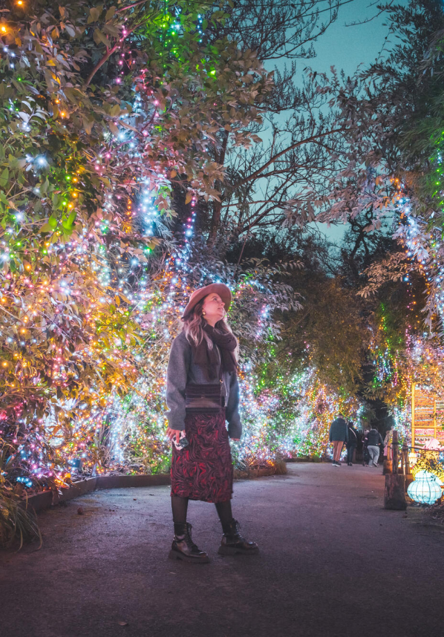 Luminescence