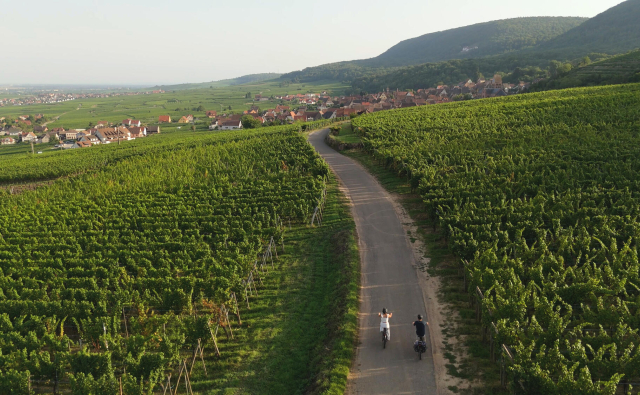 Balade à vélo dans les vignes alsaciennes
