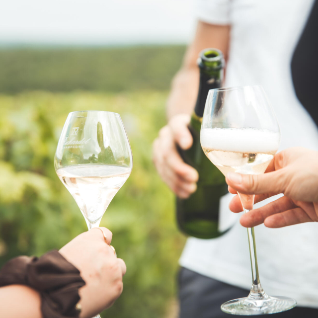 Dégustation de champagne dans les vignes