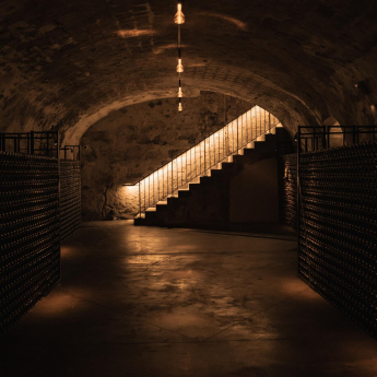 Cave Maison Champagne