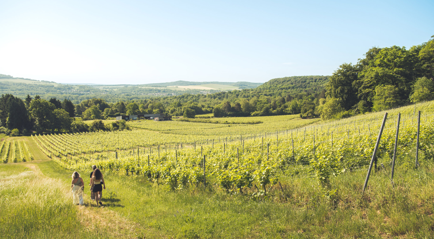 Domaine les Béliers