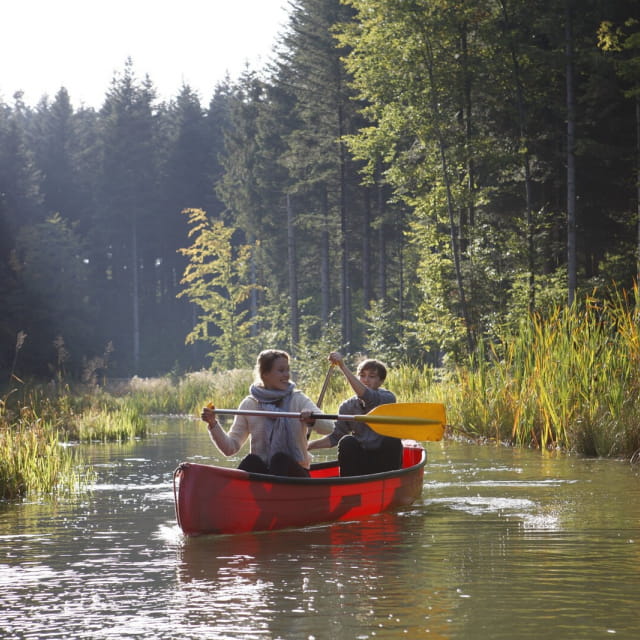 Center Parcs