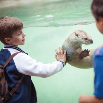 Zoo d'Amnéville