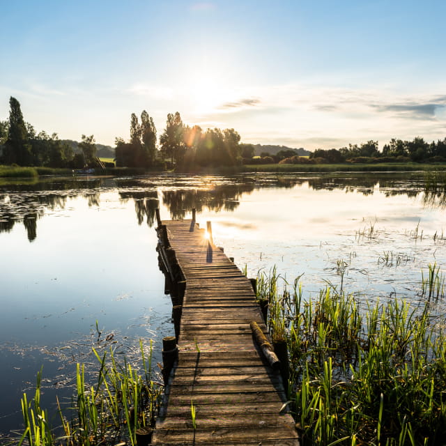 Etang du Stock