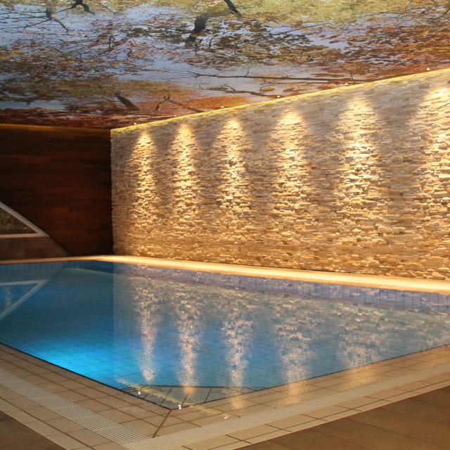 piscine de l'Hôtel l'Orée du Bois